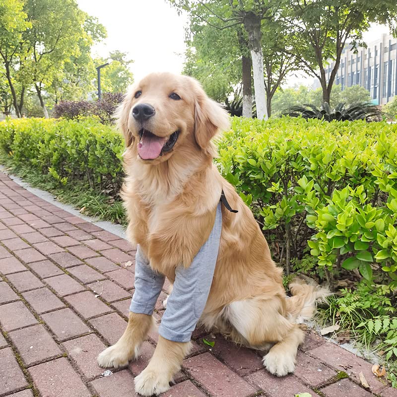 Dog Recovery Suit Front Legs, Dog Recovery Sleeve After Surgery with Elastic Band, Protective Elbow Protector for Medium Large Dogs, Dog Cone Alternative to Stop Licking Leg Wounds,Grey,L L(Sleeve Length:9.1") A-Light Grey - PawsPlanet Australia
