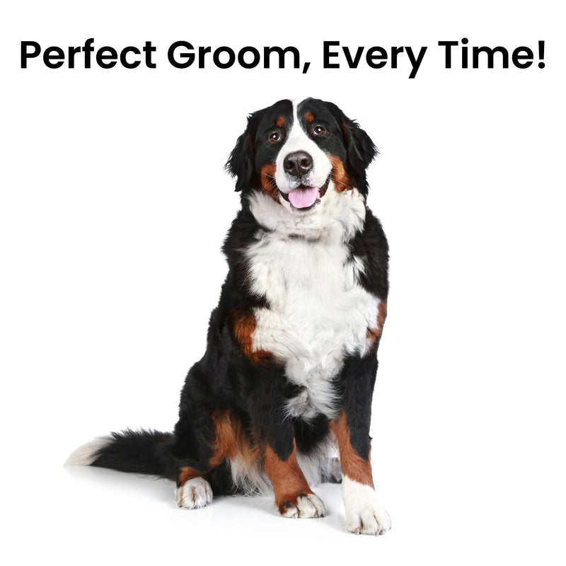 Fresh Ultra Wide XL Metal Pet Comb, Oval Aluminum Handle, Wide Tooth Spacing, Metal Grooming Comb for Dogs, 9.75"