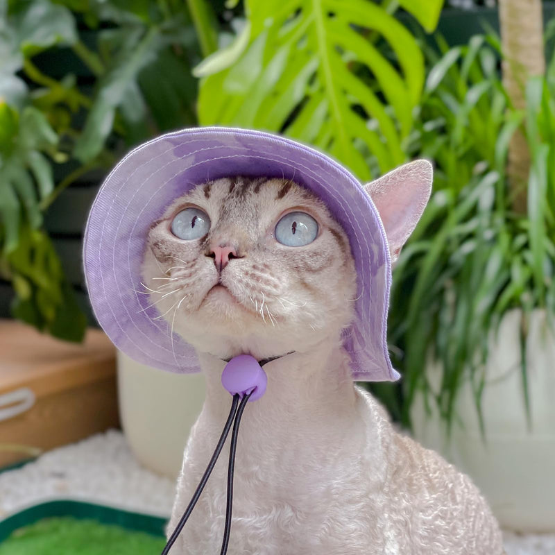 Pet hat with Ear Holes Sunscreen Baseball Cap Suitable for Small and Medium-Sized Dogs Outdoor Climbing hat in Summer Pet Products (Small, Purple) - PawsPlanet Australia