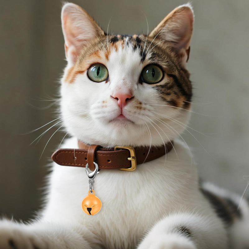 Larrel 14 Pcs Pet Bell, Small Dog Collar Bell with Key Rings Clasps Cat Collar Charms Pet Pendant Accessories for Small Animal Dog Goat Puppy Kitty Pets Training to go Outside 1/2-Inch (Colourful) - PawsPlanet Australia