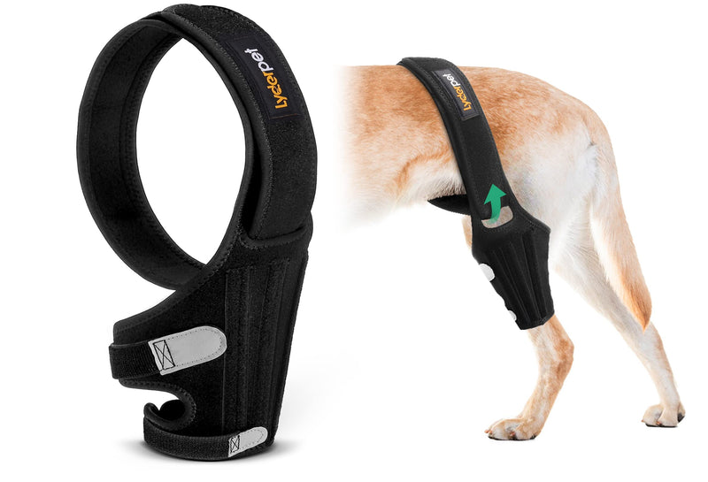 Dog Knee Brace for Torn ACL Hind Leg, Rear Leg Cruciate Ligament Braces for Dogs, Strong Support to Reduce Joint Pain and Muscle Sore, with Side Stabilizers for Back Leg Large L