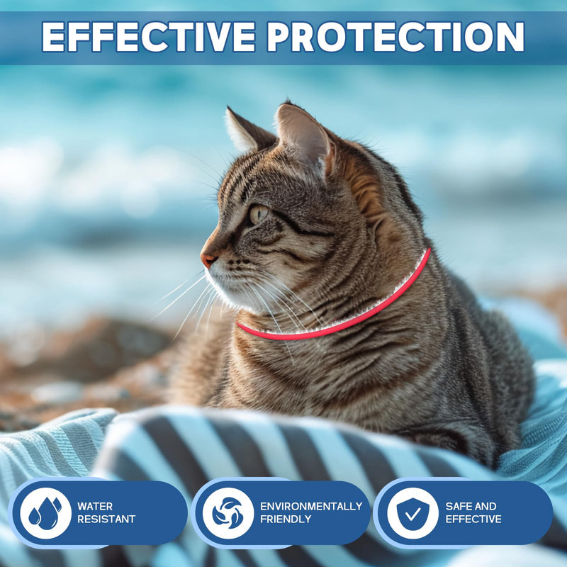 4 Pack Collar for Cats- 32 Months Protection Water Resistant Cat Collars for Kitten Small Medium Large Dog- Red & White