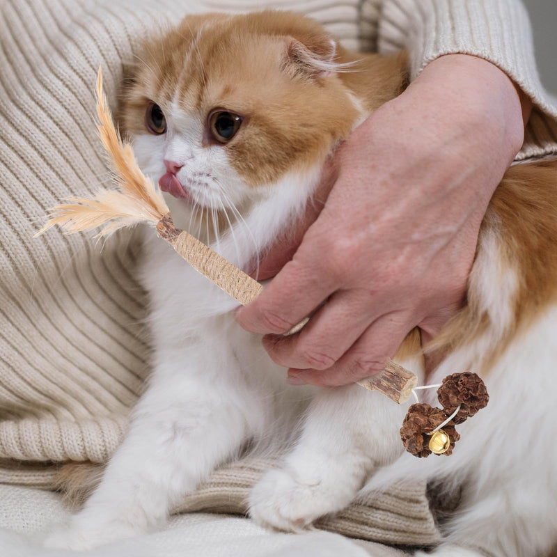 iplusmile 5 pcs Cat Toy Bites made from Actinidia Polygama and Cecidum Fruit for Cats for Dental Care and Indoor Activity