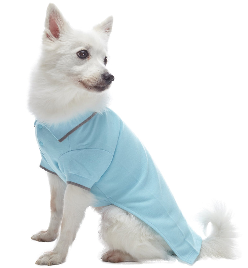 Blueberry Pet Back to School 2-Pack Prep School Style Dog Polo Shirts | Cotton Outfit for Small Pets in Sky Blue + Light Grey, Back Length 14 inch - PawsPlanet Australia