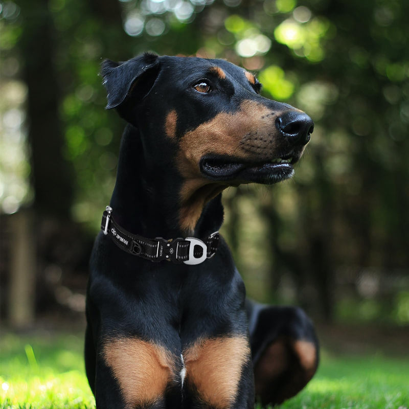 Martingale Dog Collar Reflective Nylon Soft Cushion with Alloy Buckle Dog Collar Martingale Small Medium and Large Dogs (Medium, Black) - PawsPlanet Australia