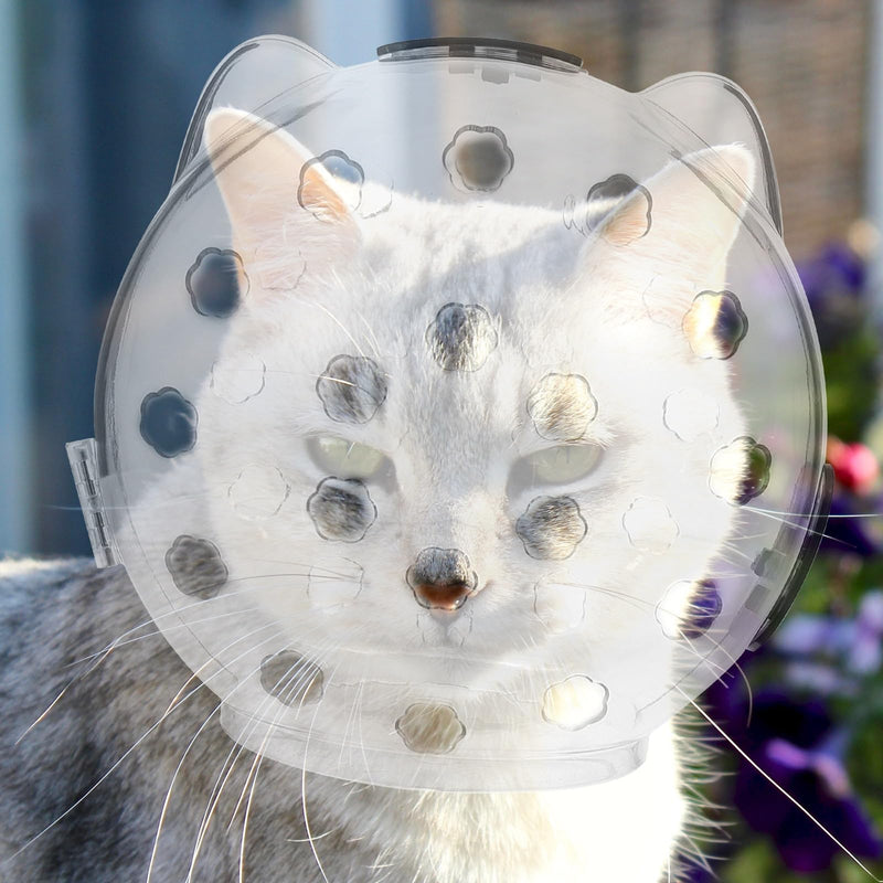 SOLUSTRE Breathable Cat Helmet with Bite Protection made of ABS Unique and Cute Design Wide Field of Vision for Cats for Grooming and Healing