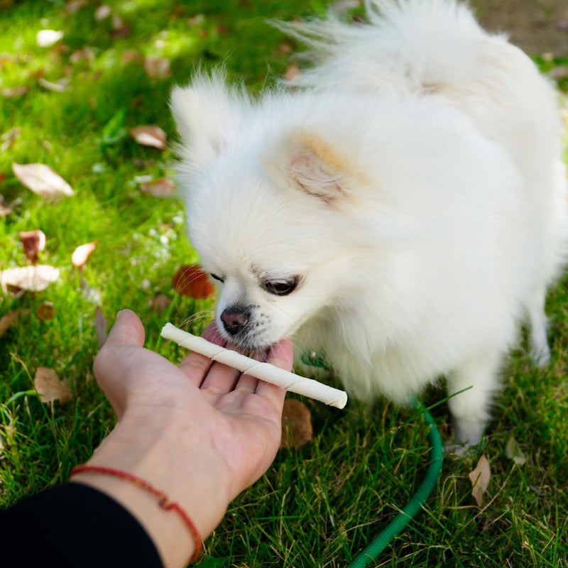 MON2SUN Dog Rawhide Twist Sticks Natural 5 Inch Thin Sticks Rawhide Chews Treats for Puppy and Small Dogs 120 Count 120 Count (Pack of 1) - PawsPlanet Australia