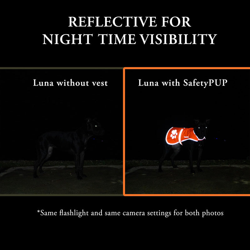 Reflective Dog Vest. Hi-Visibility, Fluorescent Blaze Orange Dog Vest Helps Protect Your Best Friend. Safeguard Your PUP from Motorists & Hunting Accidents, On or Off Leash. (Med) Medium - PawsPlanet Australia