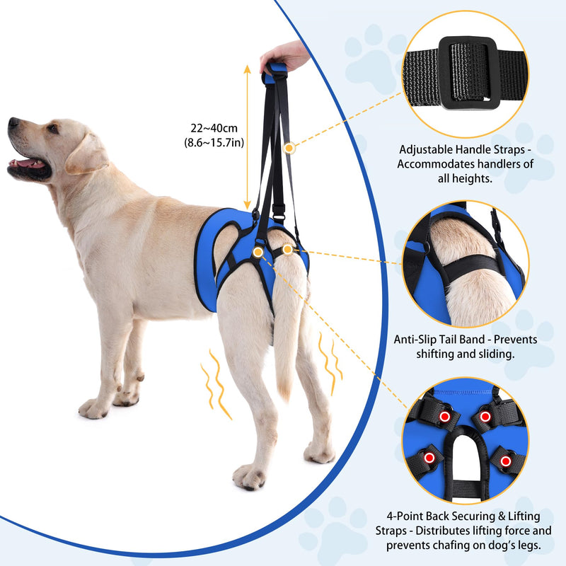 LIANZIMAU Dog Sling for Large Dogs Adjustable Hind Leg Support Lift Harness Senior Canine Mobility Aid Carrier for Back Legs Walking Rehabilitation Royal Blue L - PawsPlanet Australia