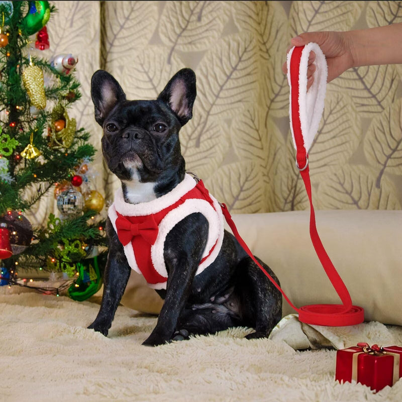 Didog Small Dog Harness and Leash Set, No Pull Adjustable Soft Padded Dog Harness Vest for XS Small and Medium Sized Dogs (Red, XS) XS: Chest 14-15" Red - PawsPlanet Australia