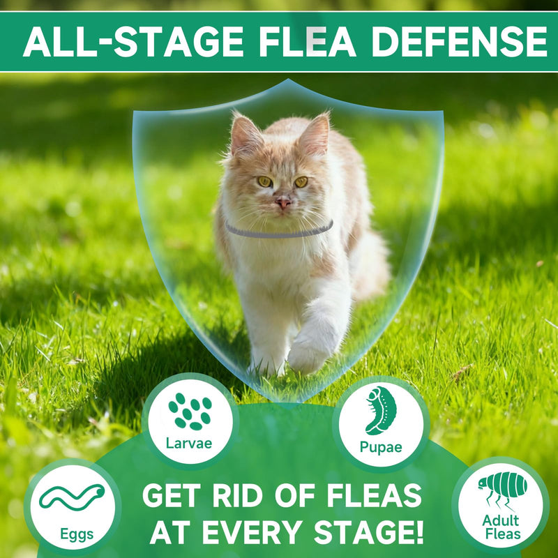 4 Pack Cat Flea Collars, Cat Flea and Tick Treatment, 32 Months Protection Flea and Tick Prevention for Cats, Waterproof Flea Collar for Cats, One Size Fits All for All Breeds, Grey
