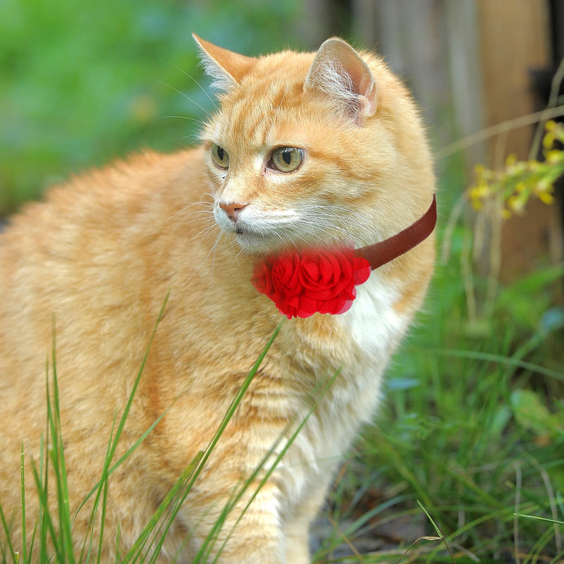 Dog Collar Flowers, 6 Pcs Dog Bows for Large Dogs Puppy Small Medium Big Cat Alpaca Rabbit Pet Dogs Collar Accessories Pet Neck Bows Sliders Grooming Collars Attachment - PawsPlanet Australia