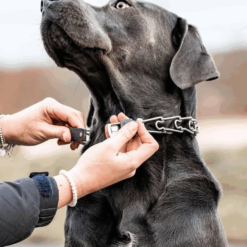 Coastal Pet Herm. SPRENGER Stainless Steel ClicLock for Prong Collars - Durable & Secure Collar Attachment - Pet Training Buckle with Quick-Release Functionality - Fine - PawsPlanet Australia