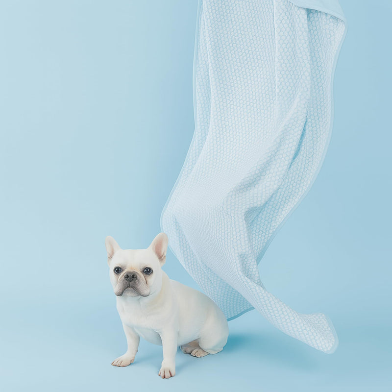 Woofry Double-Sided Pet Cooling Blanket, QMAX>0.5 Pet Throw Blanket, Scratch & Chew Resistant Dog Cooling Mat, Lightweight Breathable Furniture Protector Bed Couch, Machine Washable, 30''*40'' Blue Small - PawsPlanet Australia