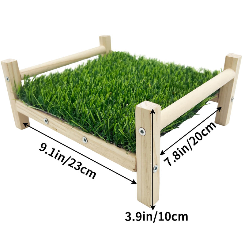 Bird Foraging Bed, Parrot Hammock Bed, Parrot Grass Perch Bed, Bird Perch Conure Platform Grass Forage Toy for Parakeet, Parrot, Cockatiel, Lovebird, Budgie