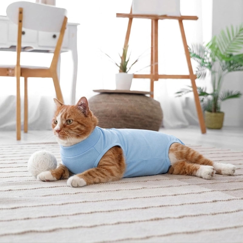 Cat Surgery Recovery Suit, Kitten Anti Licking Onesie for Female Spay Male Neuter, Soft Breathable Surgical Bodysuit, Post Operative Shirt for Abdominal Wound E-Collar & Cone Alternative Blue M