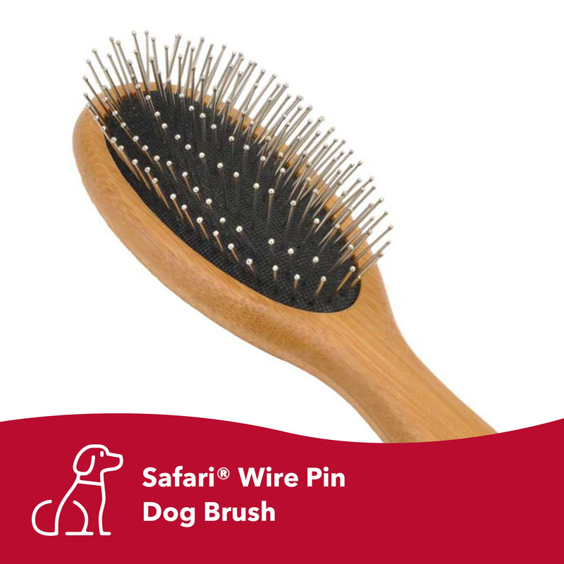 Coastal Pet Safari Wire Pin Dog Brush with Bamboo Handle - Large - General Dog Grooming Brush for Short and Long Hair - Eco-Friendly Handle - PawsPlanet Australia