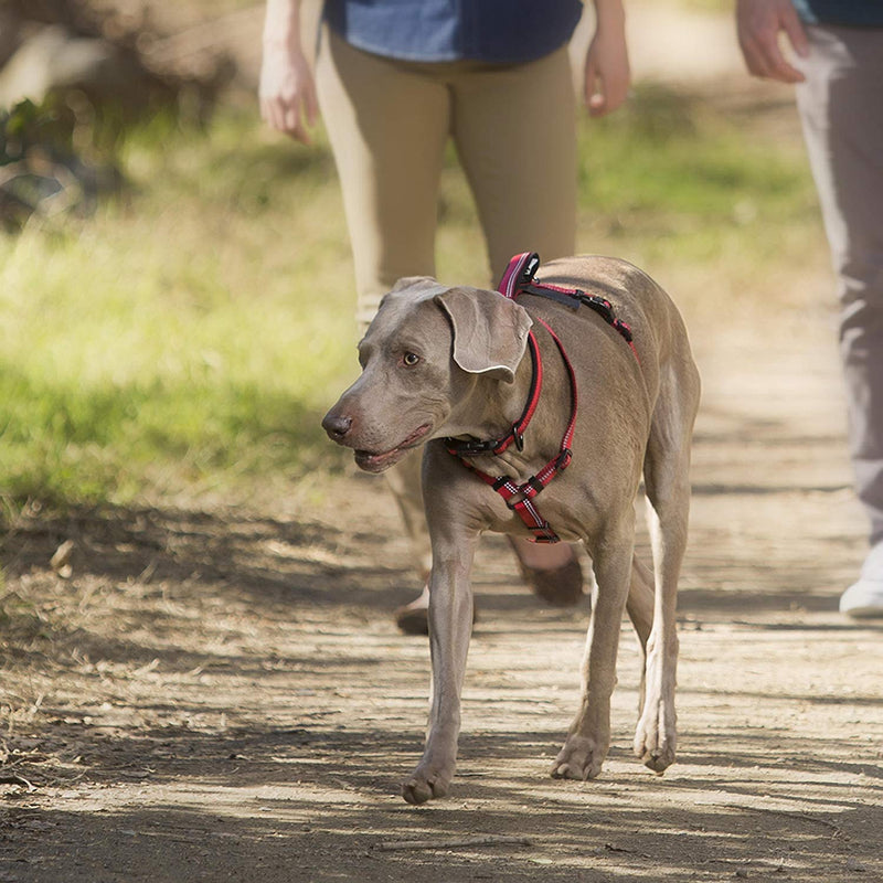 Halti Walking Harness, Size Large, Red, Best Lightweight Dog Harness with Handle, Reflective & Adjustable, Ideal for Puppy Walks, Suitable for Large Dogs - PawsPlanet Australia
