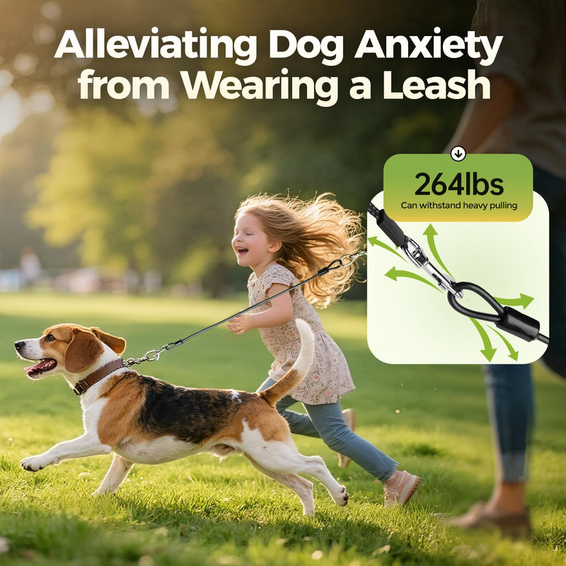 Chew Proof Dog Leash, 2 Pack Metal Cable Lead Collar Extender Non-Tangle Connect Dog Leash for Teething Puppies Small Medium and Large Dogs for Collars and Harnesses (5mm, M) 5mm, M - PawsPlanet Australia
