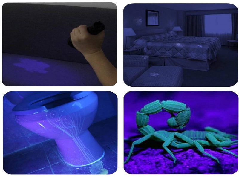 365NM UV Flashlights USB Rechargeable, Blood Tracking UV Light, Portable Mini Detector for Pet Urine Dry Stains, Uranium Glass, Money Check, Resin Curing Blacklight Led Flashlight Uv-2 - PawsPlanet Australia