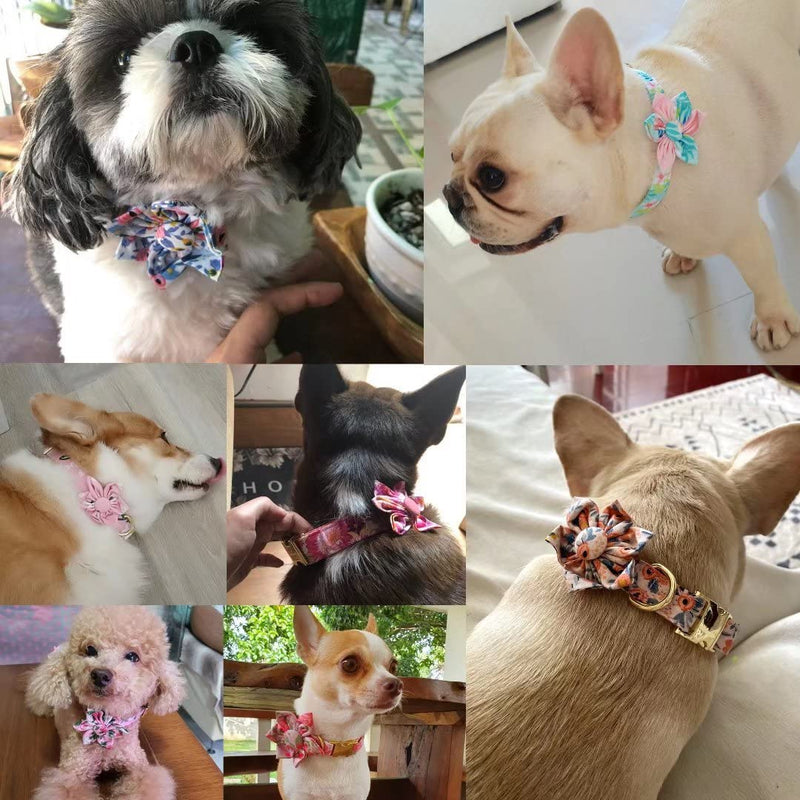 Beirui Cute Girl Dog Collars for Small Medium Large Dogs, Multiple Floral Patterns Female Pet Dog Collars with Flower for Wedding Holiday S Green-2 - PawsPlanet Australia