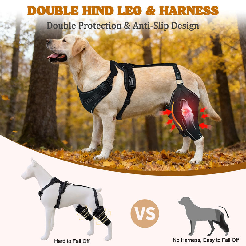 Dog Knee Braces for Back Leg, Adjustable Dog Leg Braces for Torn ACL Hind Leg with Metal Stabilizers, Better Recovery Knee Brace for Rear Leg Cruciate Ligament Injuries & Hip Dysplasia, XL