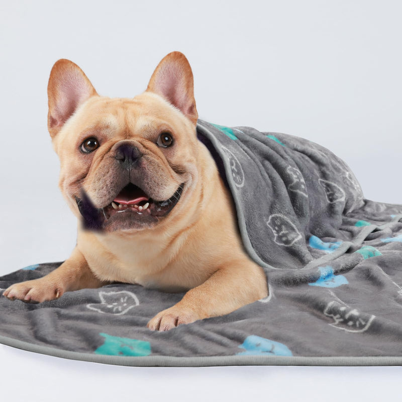 1 Pack 3 Blankets Super Soft Fluffy Premium Cute Cat Pattern Pet Blanket Flannel Throw for Dog Puppy Kitten Blue/Cyan/Grey Large(41x31 inch) 41x31 inch (Pack of 3) - PawsPlanet Australia