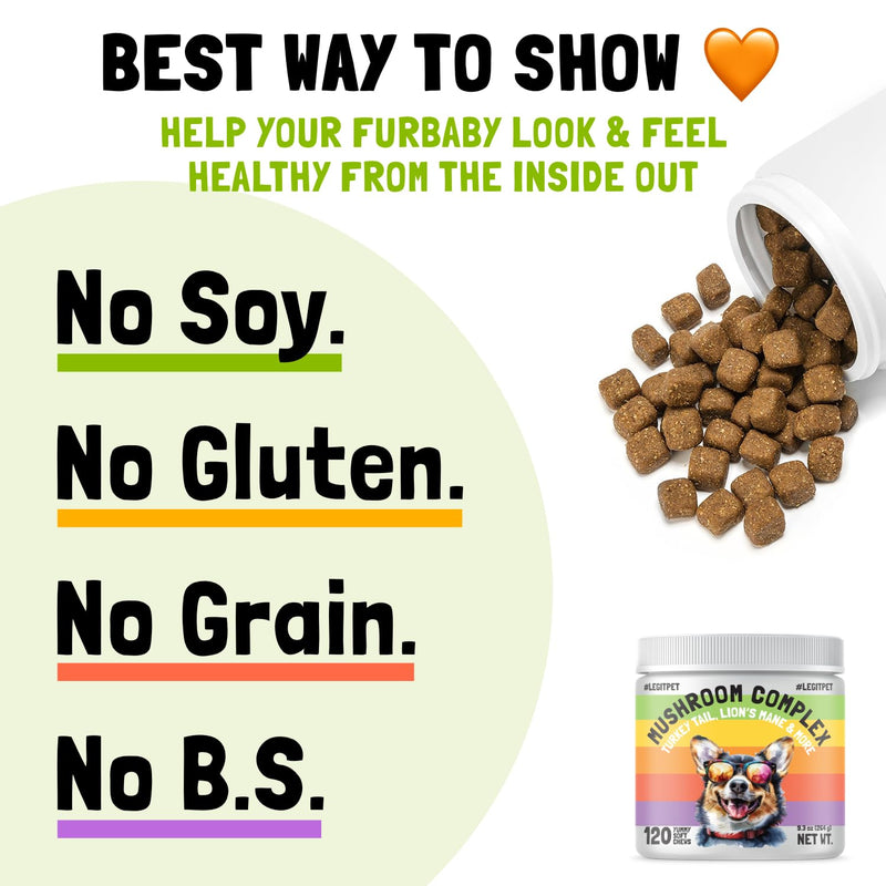 Mushroom Complex Treats for Dogs with Reishi Shiitake and Turkey Tail Mushrooms for Cognition and Immune Boosting Supports Digestive Health and Reduces Inflammation DHA EPA Turmeric Kelp 120 Chews