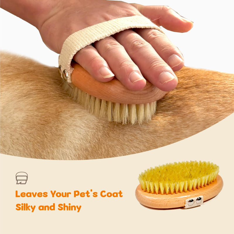 Professional Dog Brush Boar Bristle for Short-Haired Dogs - Reduces Shedding, Non-Slip Grip, Gentle Grooming - PawsPlanet Australia