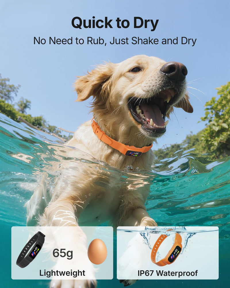 Anti Bark Collar for Small Medium Large Dogs, Vibrating Dog Collars No Shock, Rechargeable Smart AI Bark Collar, Automatic Dog Training Collar, IP 67 Waterproof Dog Barking Collar (Orange) Orange - PawsPlanet Australia