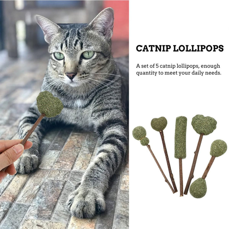 Luxshiny 10 Pieces Edible Catnip Dental Care Sticks Cat Lozenges for Teeth Cleaning and Loneliness for Indoor Cats Random Style