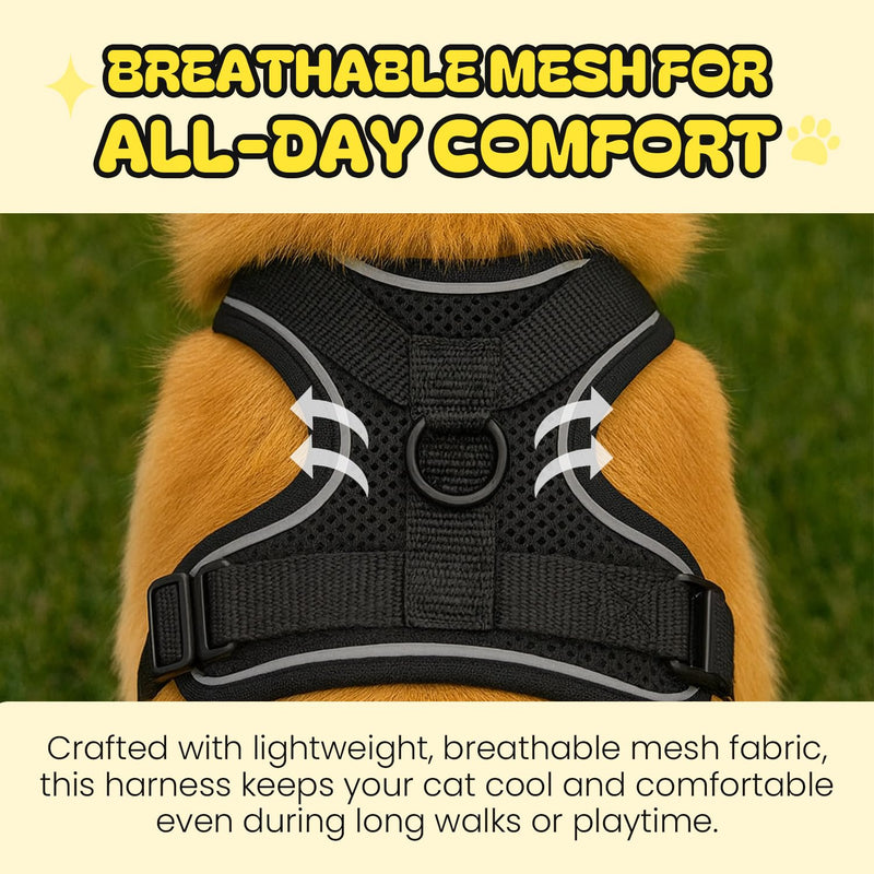 No-Pull Cat Harness and Leash Set for Small Cats – Adjustable Reflective Soft Padded Pet Vest for Walking & Training (Size Small)