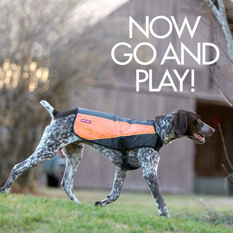 EzyDog Element Best Dog Jacket - Premium Wind and Waterproof Reflective Dog Coat for Safety and Protection - Provides Leash Access to Harness or Collar (Scarlett, Small) Scarlet - PawsPlanet Australia