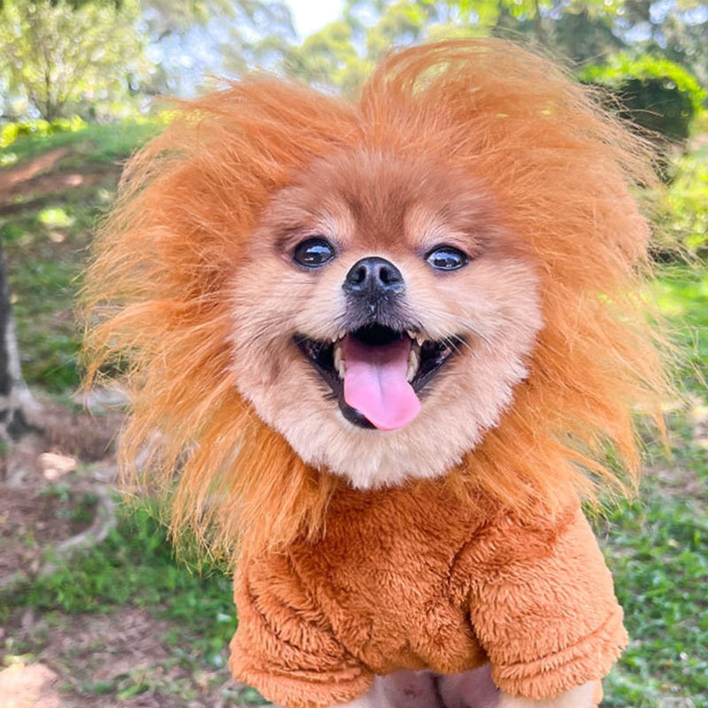 Lion Mane for Dogs Realistic Lion Mane Wig Dog Lion Mane Costume Funny Pet Lion Costume for Halloween (Lion Mane Costume, Medium)