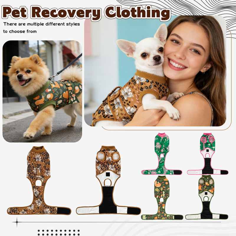 Cat bodysuit, dog bodysuit after surgery, cat and dog bodysuit for surgery clothing, surgical bodysuit for dogs and cats, pet surgical recovery suit for anti-licking, adjustable size (size, XS) XS size