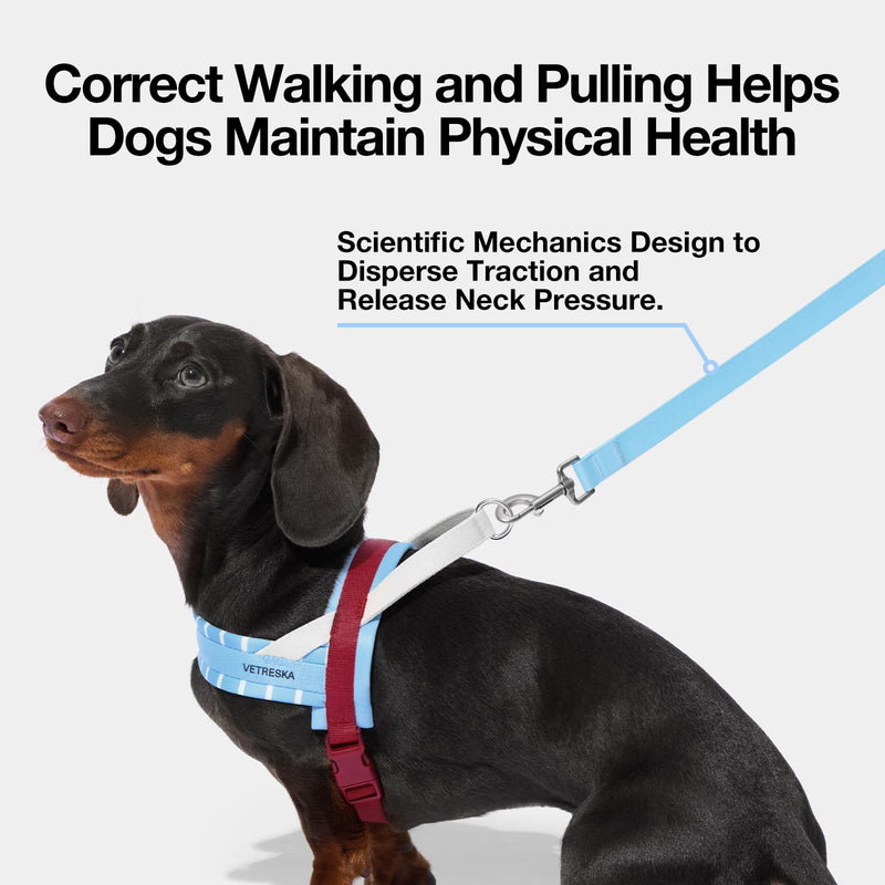VETRESKA Dog Harness No Pull, Easy Control No Choke Dog Harness Collar for Large, Medium Size Dogs, Adjustable Dog Vest, Easy Walk Pet Vest Harness with Heavy Duty Anti-Twist Dog Leash, Misty Melo L - PawsPlanet Australia