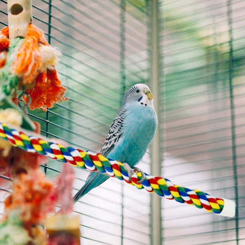 Bird Rope Perches, Colorful Parrot Cage Swing Toys, Comfortable Perch for Cockatiel, 2 Pack 105CM - PawsPlanet Australia