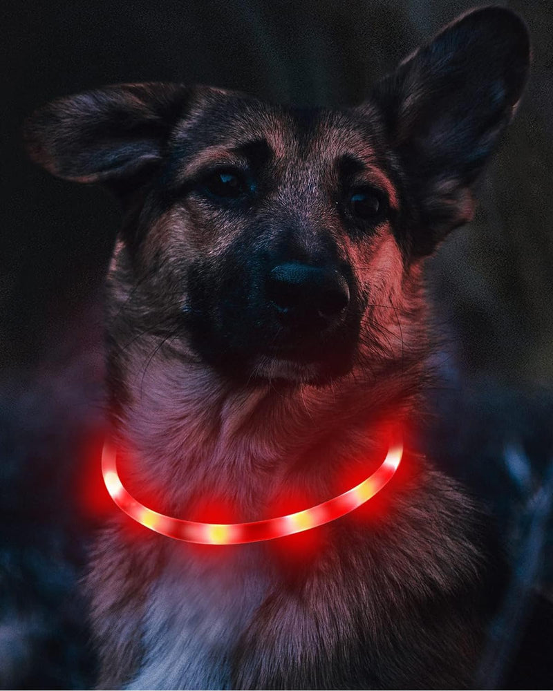 Joytale Light Up Dog Collar, Rechargeable Rainproof LED Collar for Night Walking Safety, Soft Silicone Glow in The Dark, Suitable for Small Medium Large Dogs, Red 8-27.5 Inch (Pack of 1) - PawsPlanet Australia