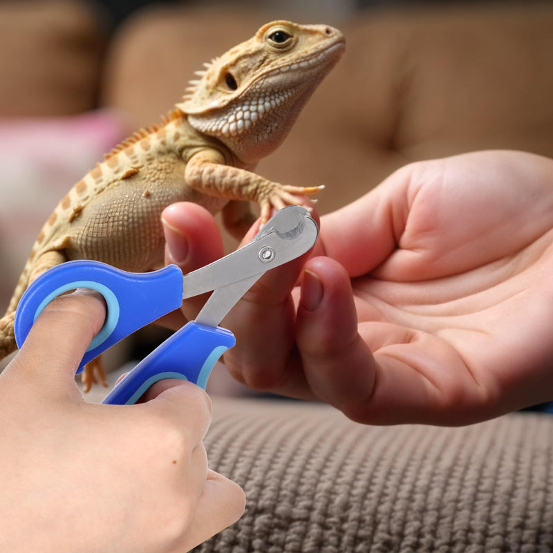 Stainless Steel Bearded Dragon Nail Clippers, Reptile Nail Clippers for Small Reptiles, Turtle, Chameleon, Hedgehog(Blue)