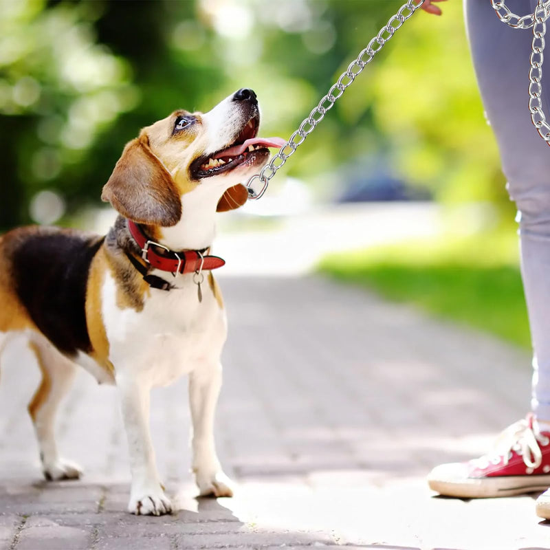 Heavy Duty Dog Leash 6ft Metal Pet Lead with Stainless Steel Links for Medium Large Dog (Black) - PawsPlanet Australia