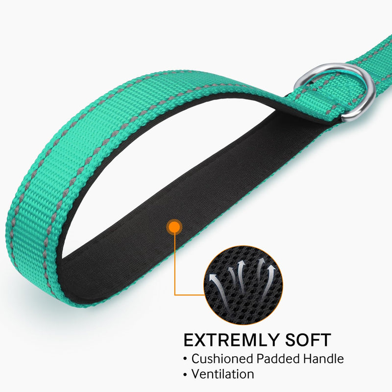 Joytale Dog Leash, 6 FT Double-Sided Reflective, Padded Handle Nylon Heavy Duty Leashes for Medium & Large Dogs Walking, Teal, 6FT 6 ft Standard - PawsPlanet Australia