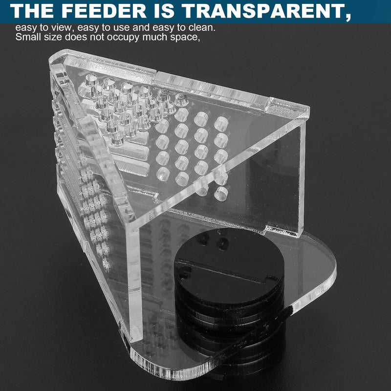 Aquarium Transparent Acrylic Feeding Container Fish Tank Cone Feeder with Magnetic Suction Fish‑Box Feeder for Aquarium Accessories - PawsPlanet Australia