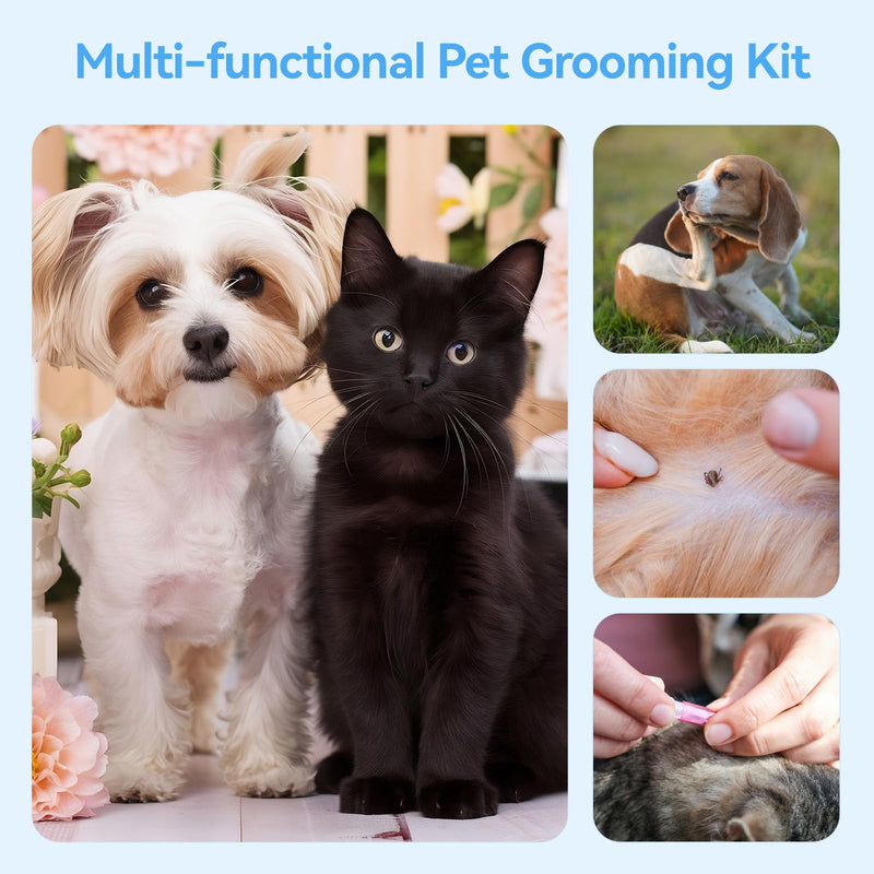 6 Pack Flea Comb, Fine & Wide Tooth Lice Comb for Remove Fleas Lice Eggs, Double-Sided Tear Stain Remover, Stainless Steel Dog Cat Grooming Combs With Rounded Teeth for All Types of Pets