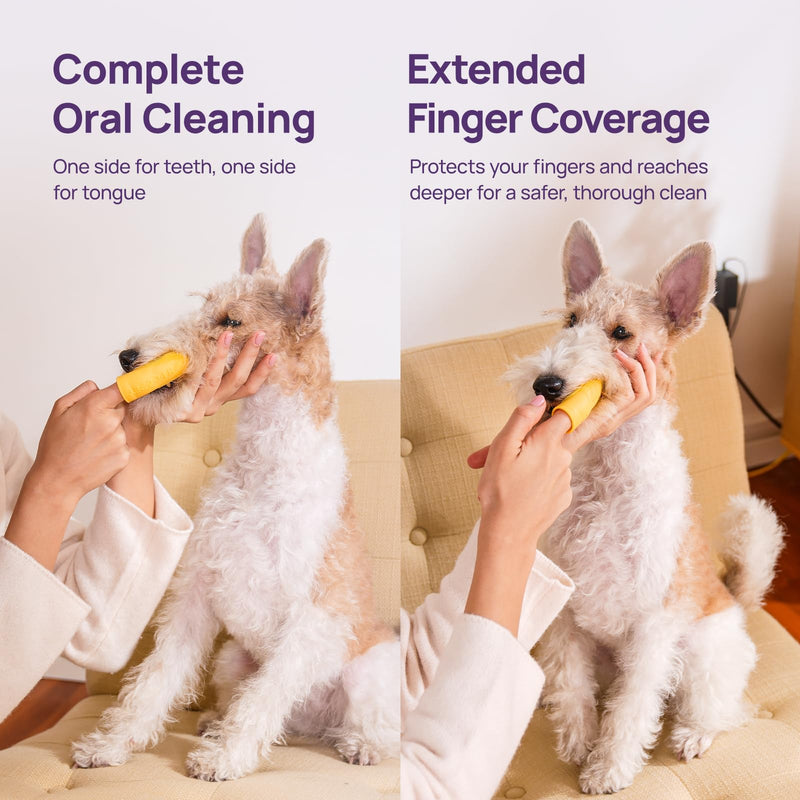 HICC PET Dog Finger Toothbrush Pack, 360° Silicone Pet Toothbrush for Plaque and Tartar Cleaning, Dog & Cats Teeth Cleaning with Protective Case, Safer & Softer Liquid Silicone (Yellow&Purple, 2 Pack) Yellow&purple