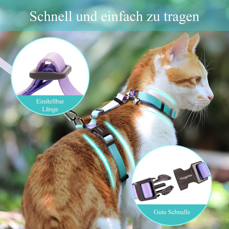 Cat Harness and Leash Set, Collars,Car Seat Belt [4 in 1 Detachable & Adjustable] Escape Proof Cat Harness, Comfortable Soft Lightweight, Walking Travel Kitten Harness for Small Medium Large Cats (M) M