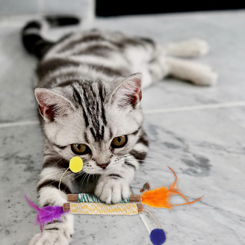 Gatuida Silvervine Chew Sticks for Cats, 2 Pieces, made of silver vine for dental care and fitness, activity toy for indoor cats