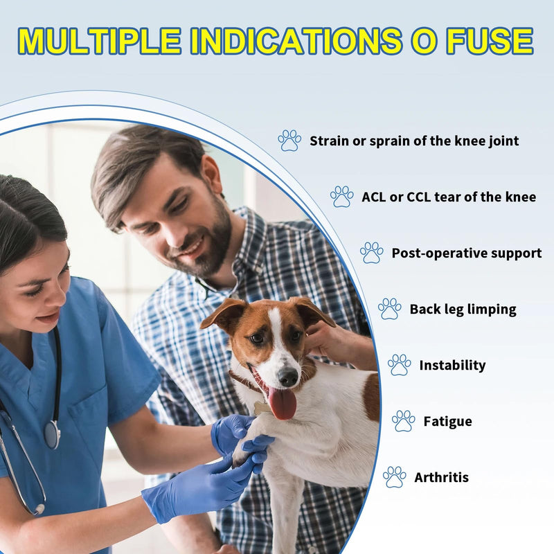 Knee Brace for Dog Torn Acl, Dog Knee Leg ACL Brace Adjustable Dog Braces for Back Leg for Support for Dog ACL CCL Recovery with Dog Leg Braces for Dog Hind Leg Reduce Pain & Muscle Sore (M) Medium - PawsPlanet Australia