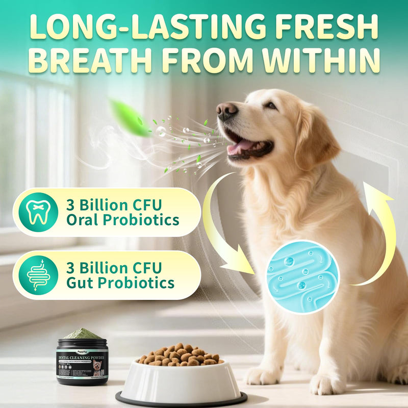 Dog Dental Powder – Teeth Cleaning Powder with 6B CFU Probiotics, Enzymes & Antioxidants, Plaque & Tartar Off, Fresh Breath Support, 75 Days, Mint Chicken Flavor, No Brushing Oral Care Mint-Chicken 75 Servings - PawsPlanet Australia