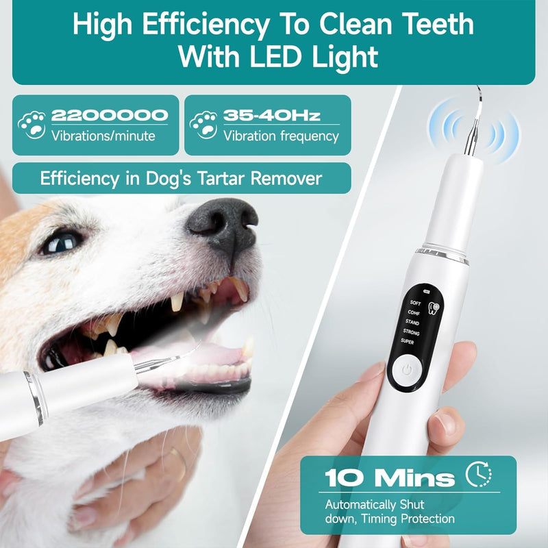 Dog Teeth Cleaning Kit Dog Plaque and Tartar Remover with LED Light 5 Adjustable Modes Electric Toothbrush Pet Teeth Cleaner for Dogs and Cats (Off-White) Off-white