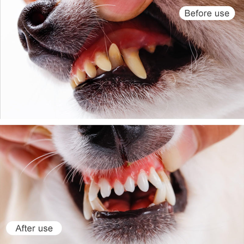 12 Pieces Pet Finger Toothbrush, Soft Silicone, Non-Toxic, Reusable, Clear, Manual, Dog Cat Dental Brushes Kit for Dogs Cats Pets Dental Care